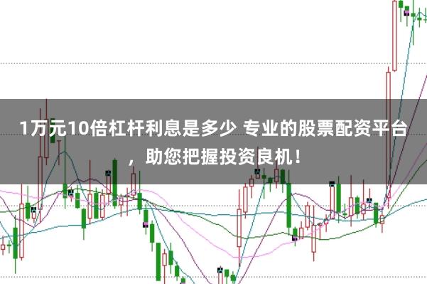 1万元10倍杠杆利息是多少 专业的股票配资平台,助您把握投资良机!