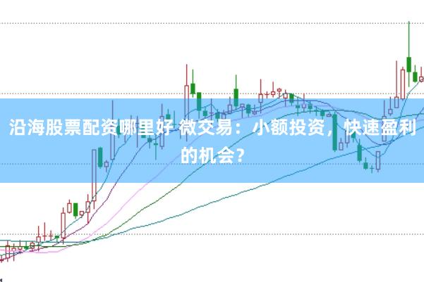 沿海股票配资哪里好 微交易：小额投资，快速盈利的机会？