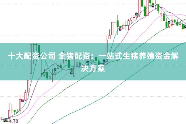 十大配资公司 全猪配资：一站式生猪养殖资金解决方案