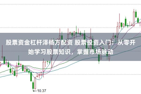 股票资金杠杆泽杨方配资 股票投资入门:从零开始学习股票知识,掌握市场脉动