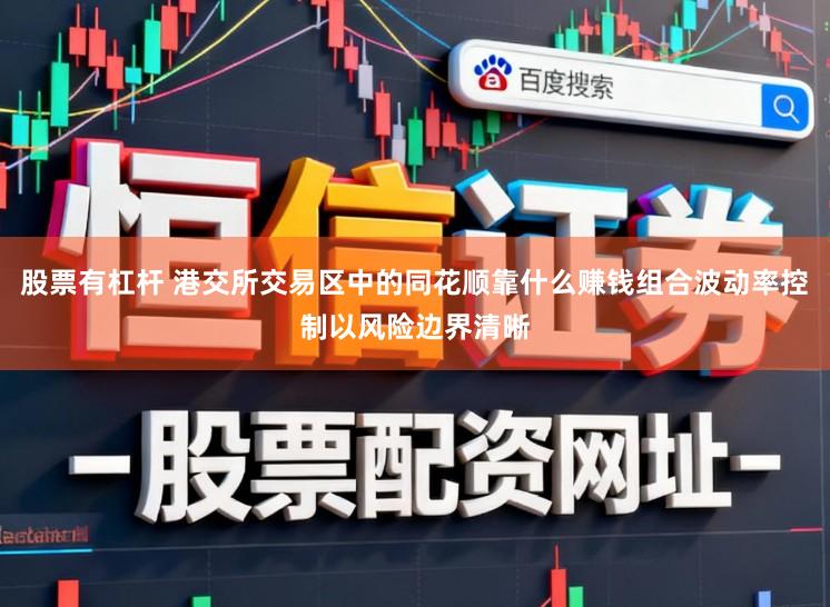 股票有杠杆 港交所交易区中的同花顺靠什么赚钱组合波动率控制以风险边界清晰